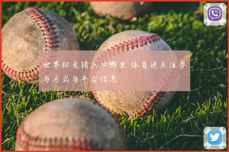 世界杯竞猜入口哪里 体育迷关注参与方式与平台信息
